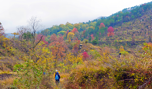 _dsc7642a.jpg
