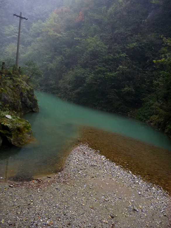 p1090126_.jpg