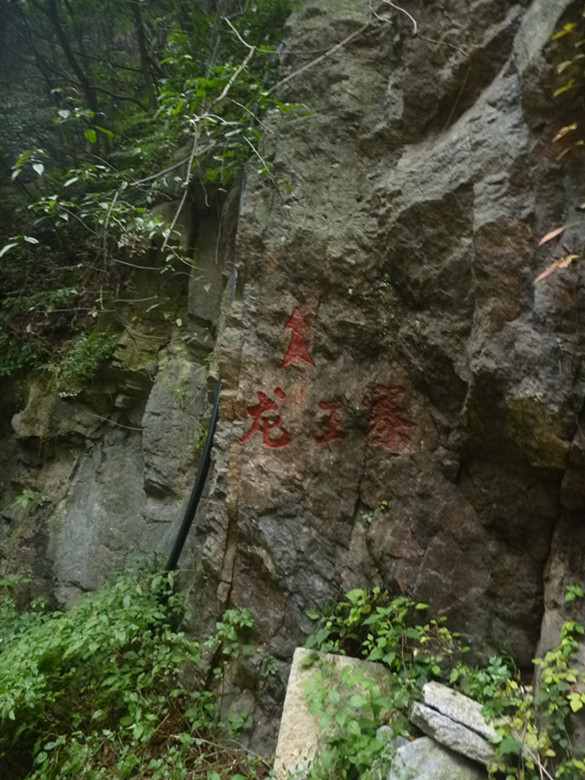 p1090125_.jpg