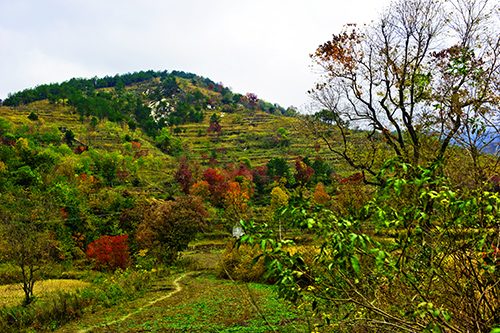 _dsc7618a.jpg