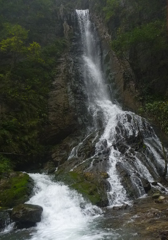 p1090135_.jpg