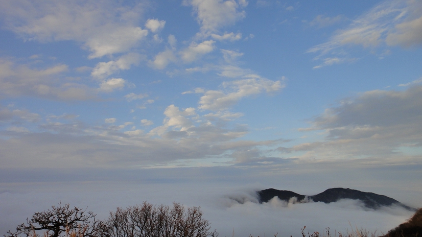 dsc08052.jpg