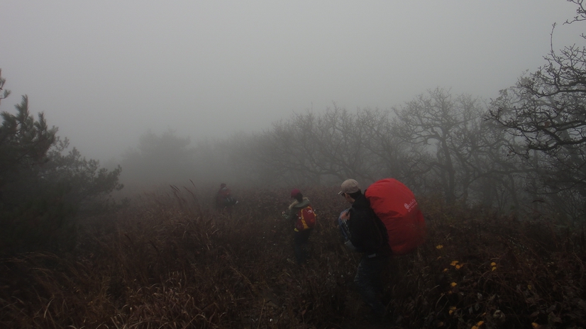 dsc08071.jpg