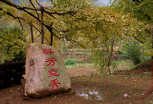 Ǯ13.jpg
