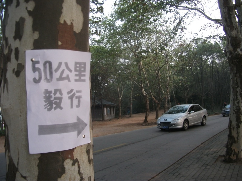 dscf0128.jpg
