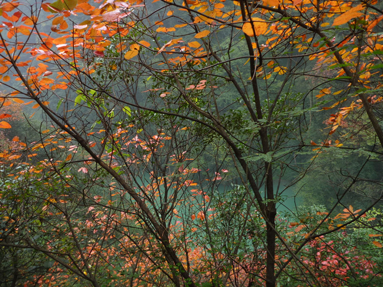 p1090150_.jpg