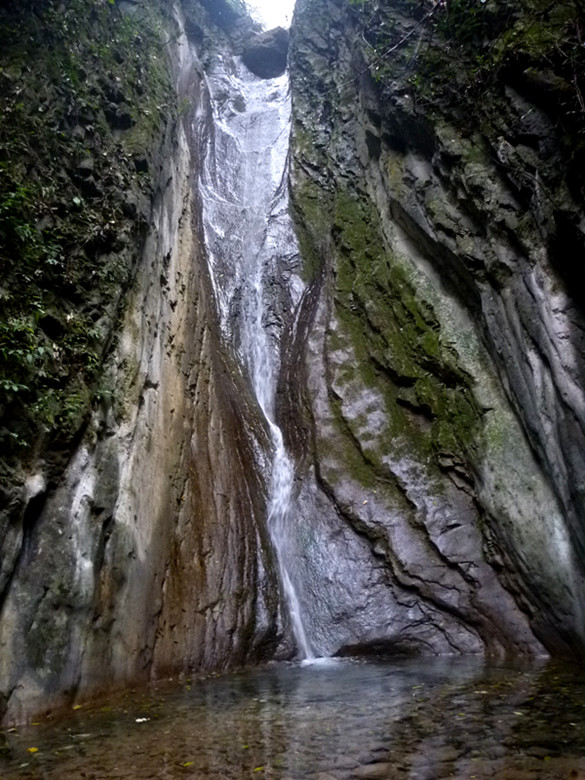 p1090155_.jpg