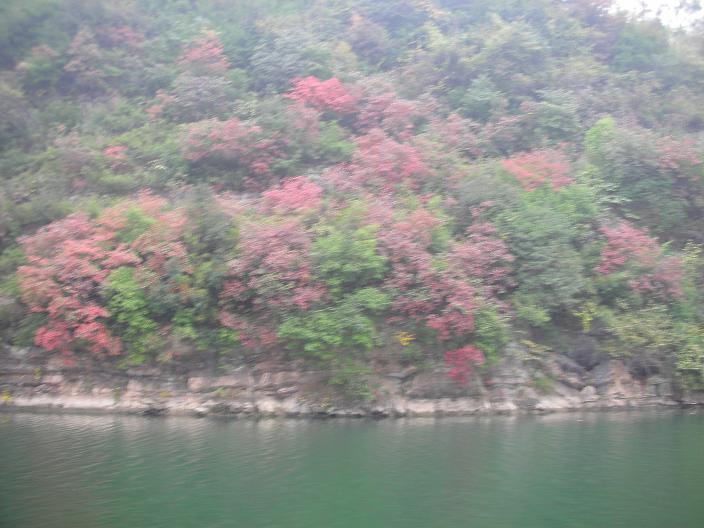 2011差 191.jpg