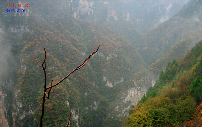 img_4475_1.jpg