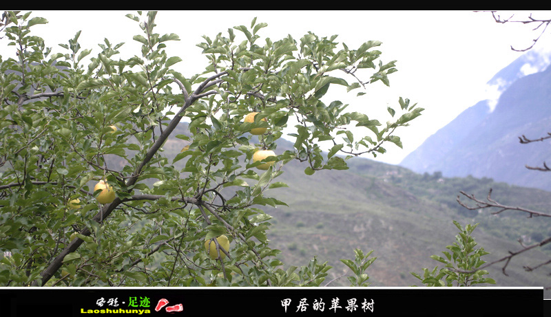 _igp6118.jpg