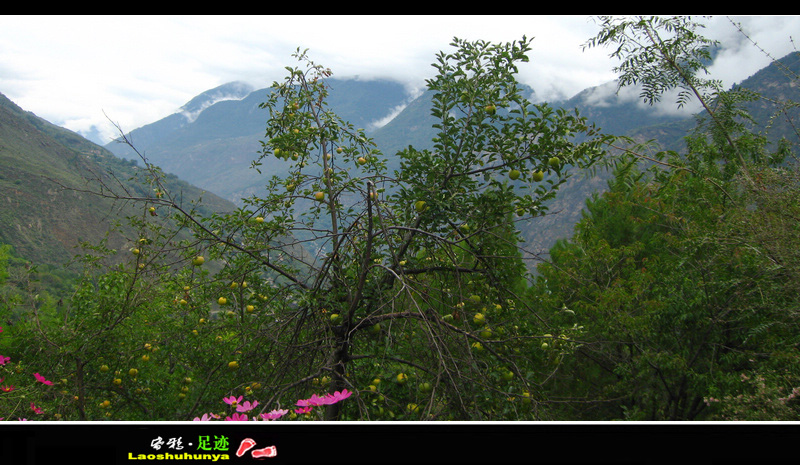 2011ī 060.jpg
