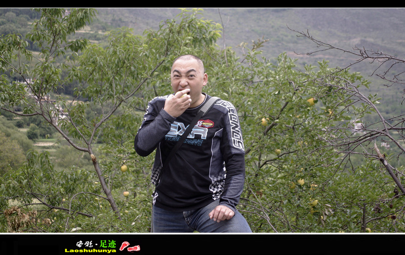 _igp6116.jpg