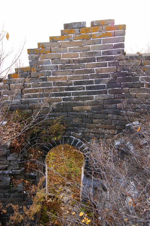 dsc00850.jpg
