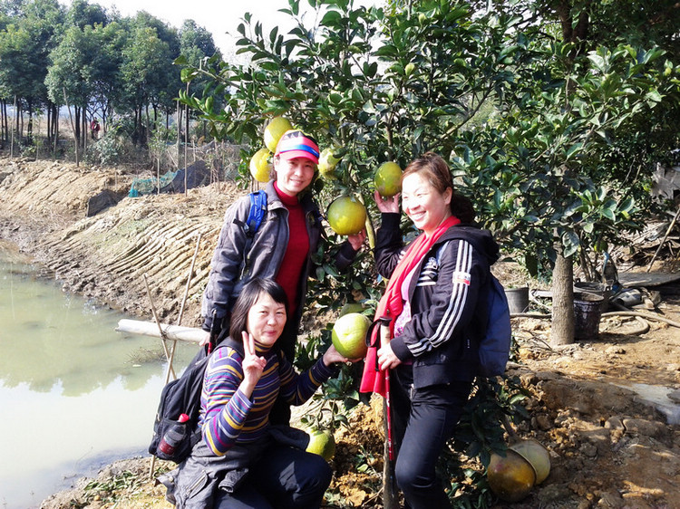img_20111203_112409.jpg
