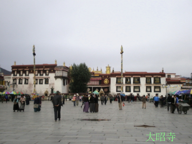 20110816_201850_350.jpg