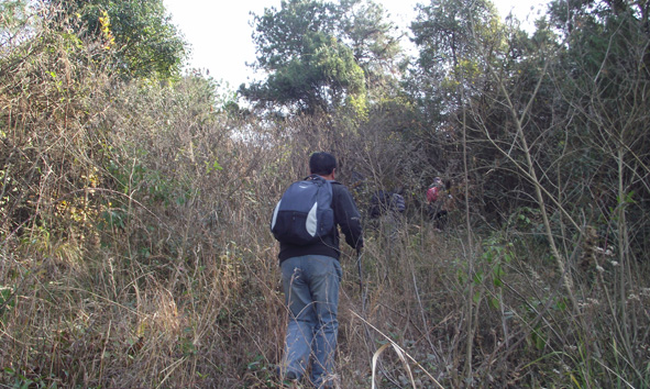 dscf5460.jpg