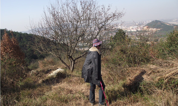 dscf5471.jpg