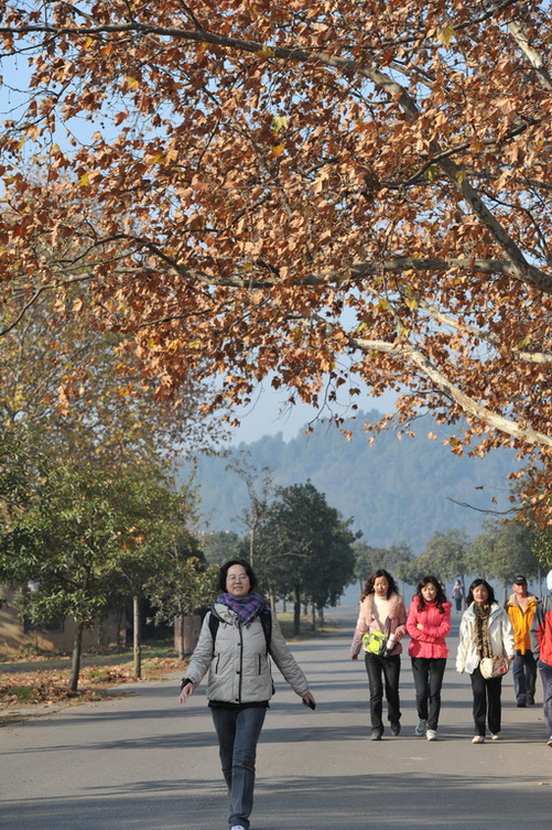20111211 ж361 124.jpg