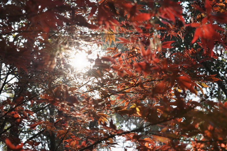 20111211 ж361 235.jpg