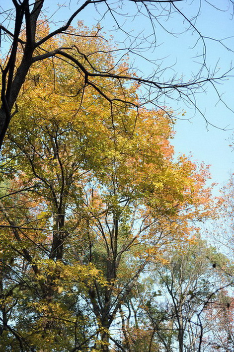 20111211 ж361 255.jpg