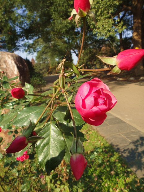 dsc00892.jpg