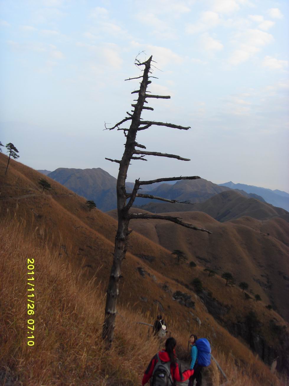 sdc10021.jpg