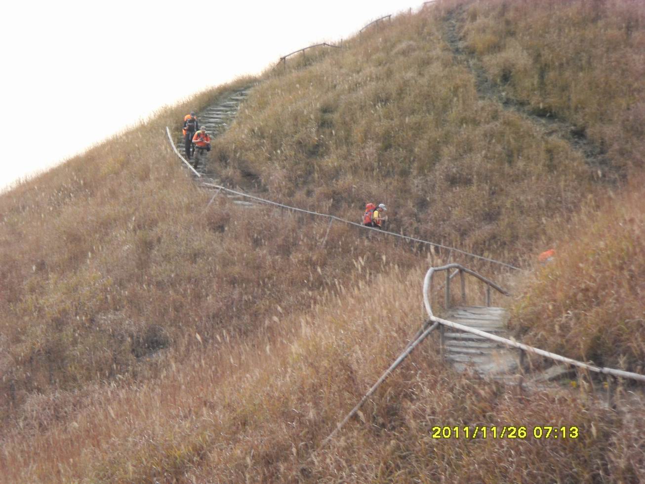 sdc10023.jpg