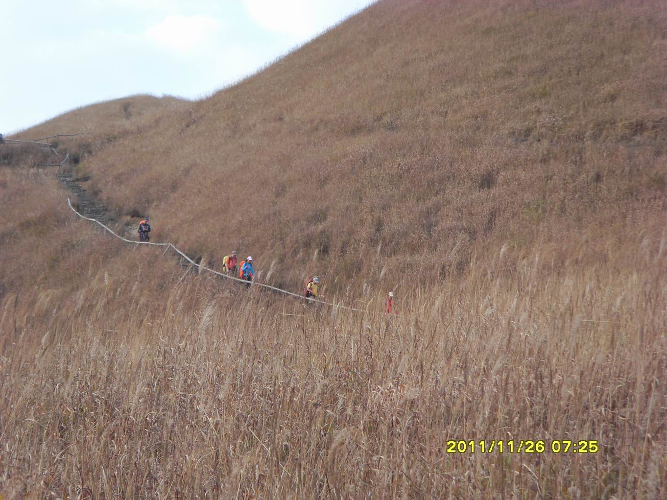 sdc10031.jpg