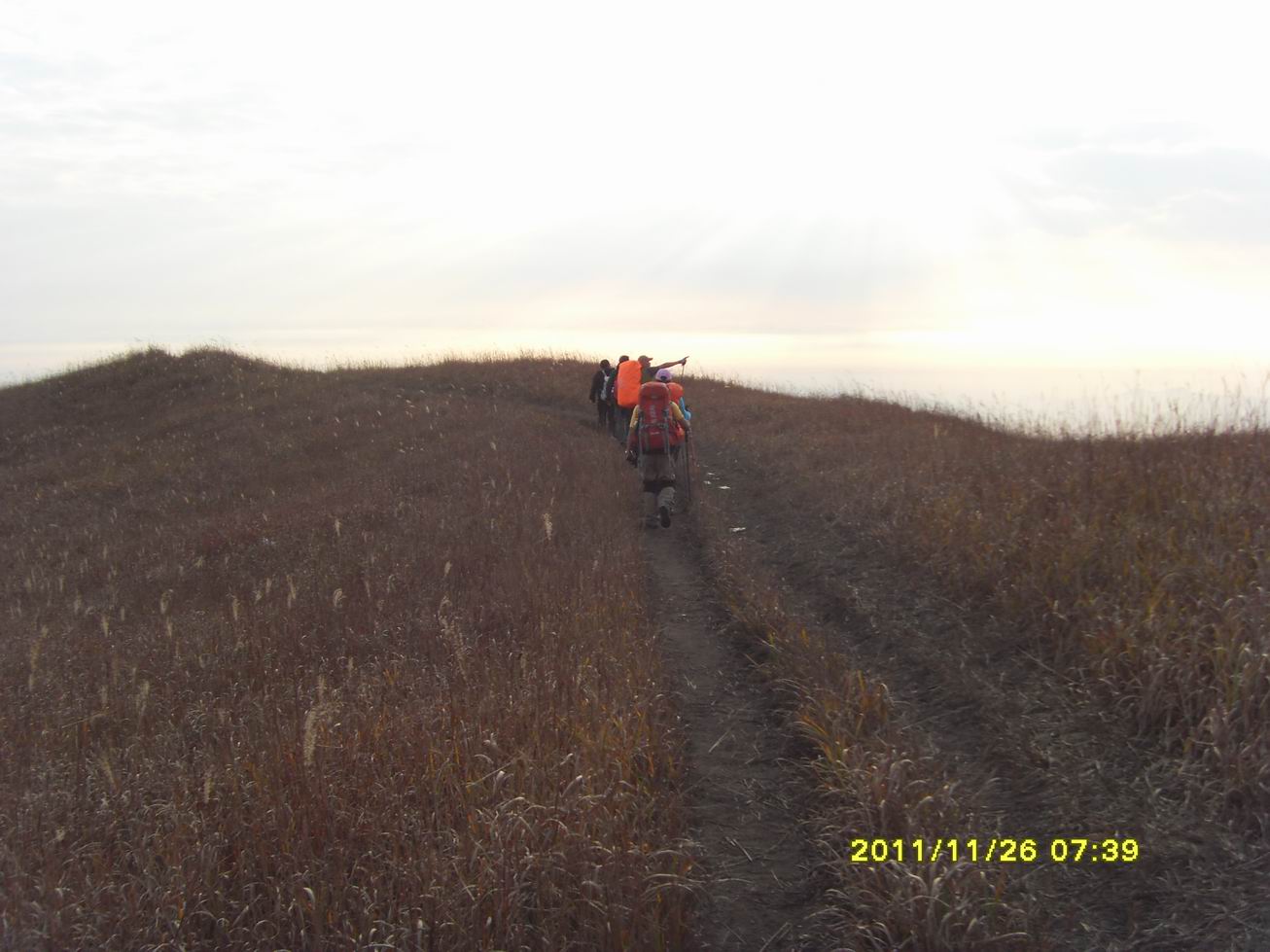 sdc10048.jpg