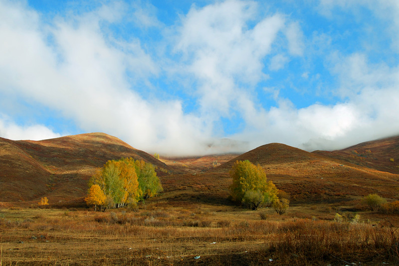 dsc_3635.jpg