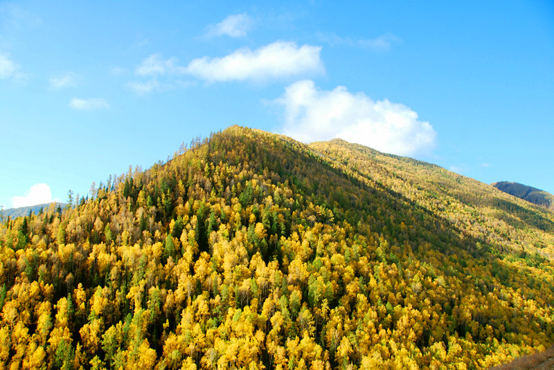 dsc_3656.jpg
