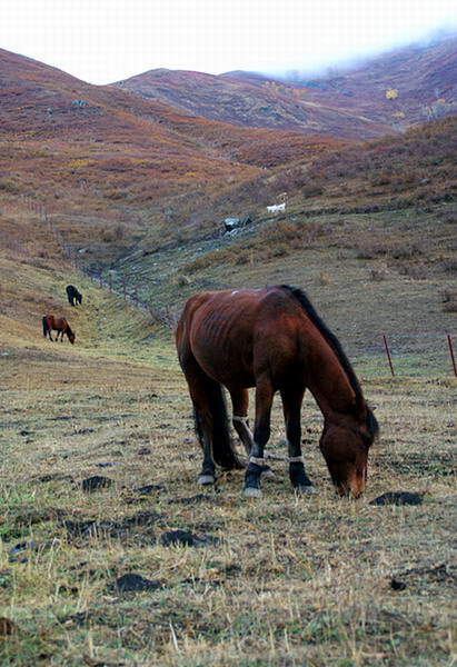 dsc06933_.jpg