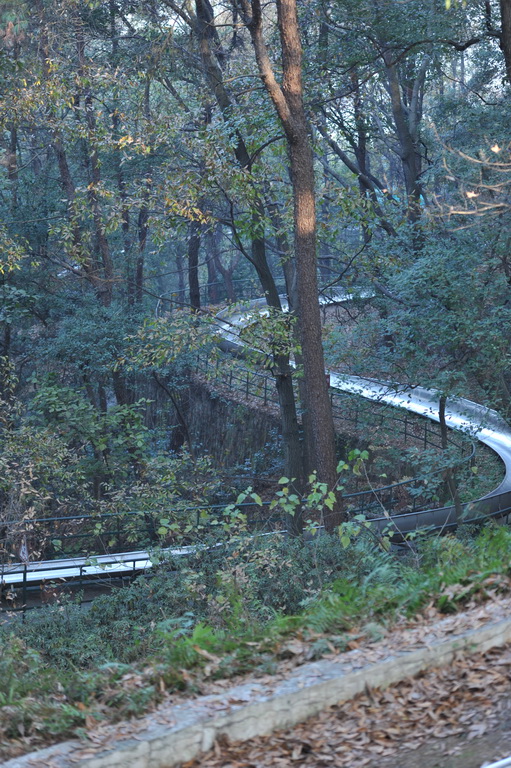 20111211 ж361 030.jpg