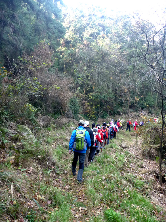 p1090806_.jpg