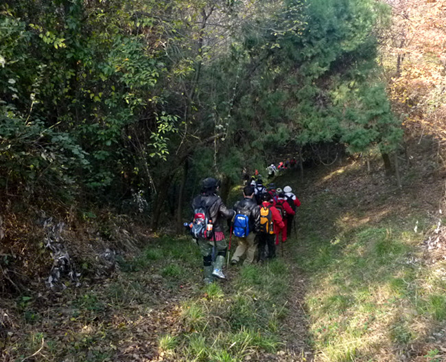 p1090802_.jpg