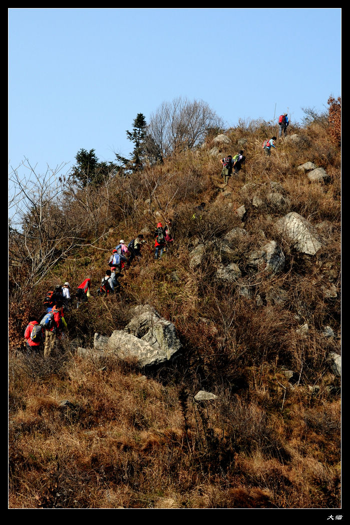 neo_img_dsc_6534.jpg