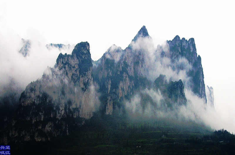 ѵ 0737.jpg