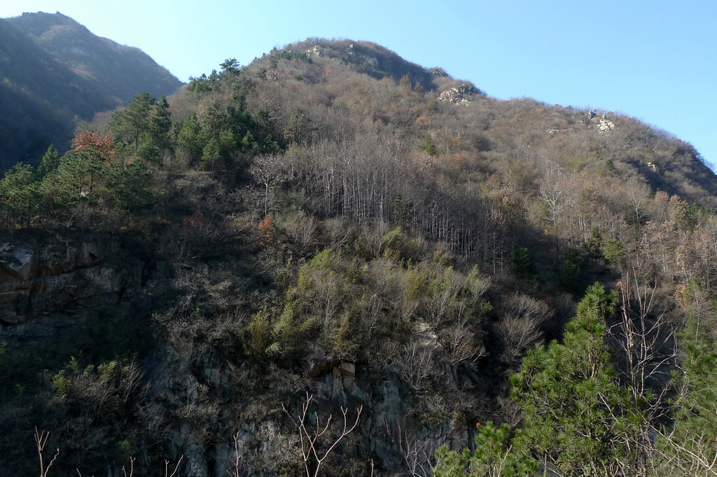 p1050914.jpg