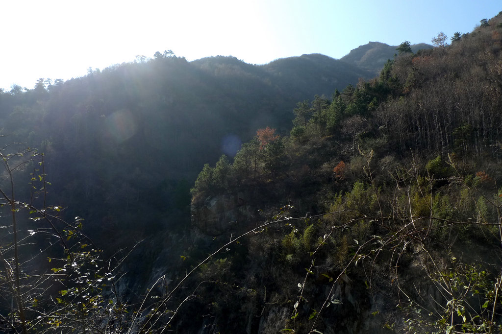 p1050916.jpg