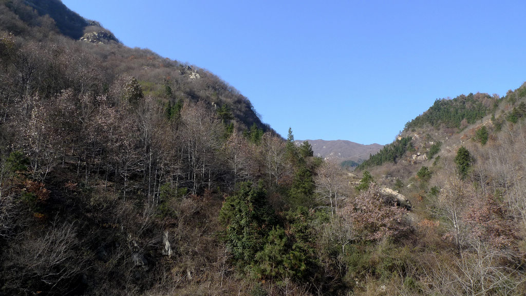 p1050920.jpg