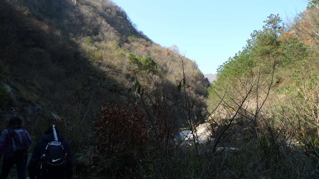 p1050922.jpg