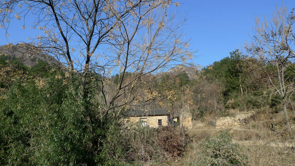 p1050941.jpg