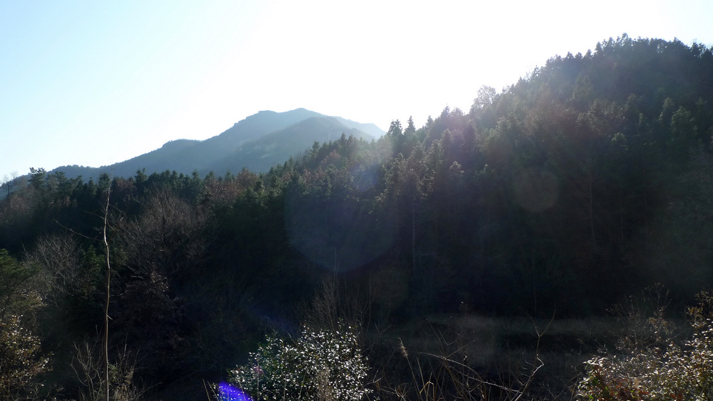 p1050944.jpg