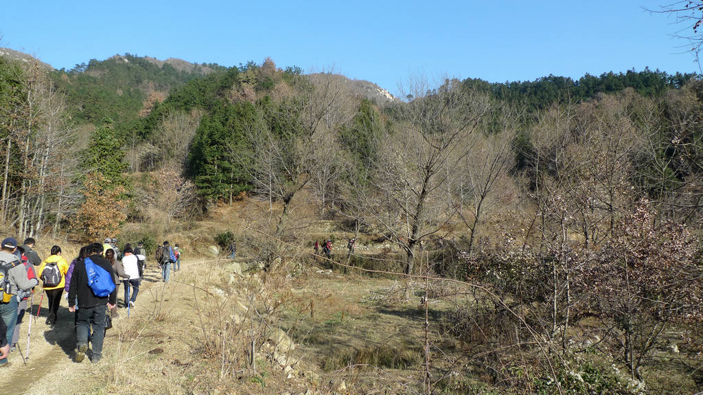 p1050945.jpg