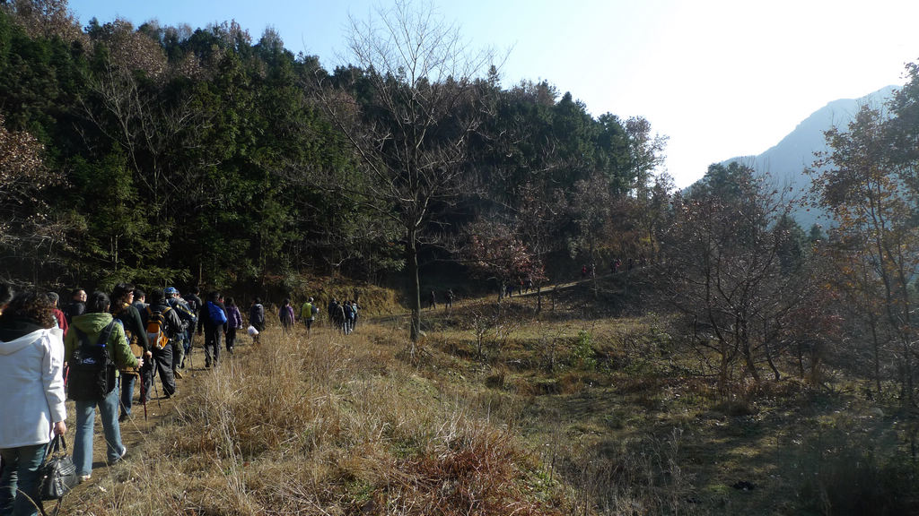 p1050948.jpg