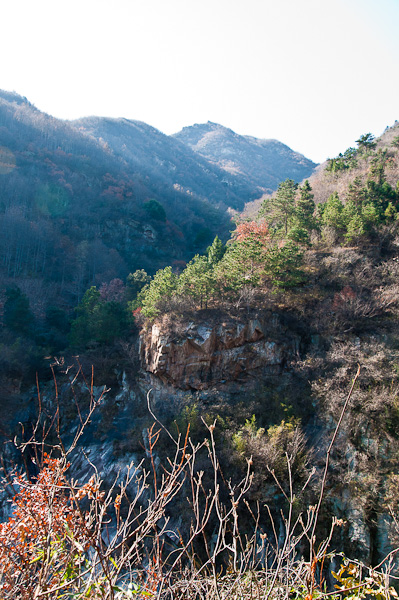 dsc_0010-1.jpg