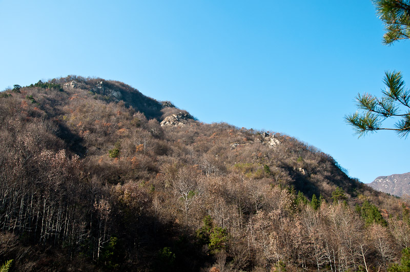 dsc_0011-1.jpg