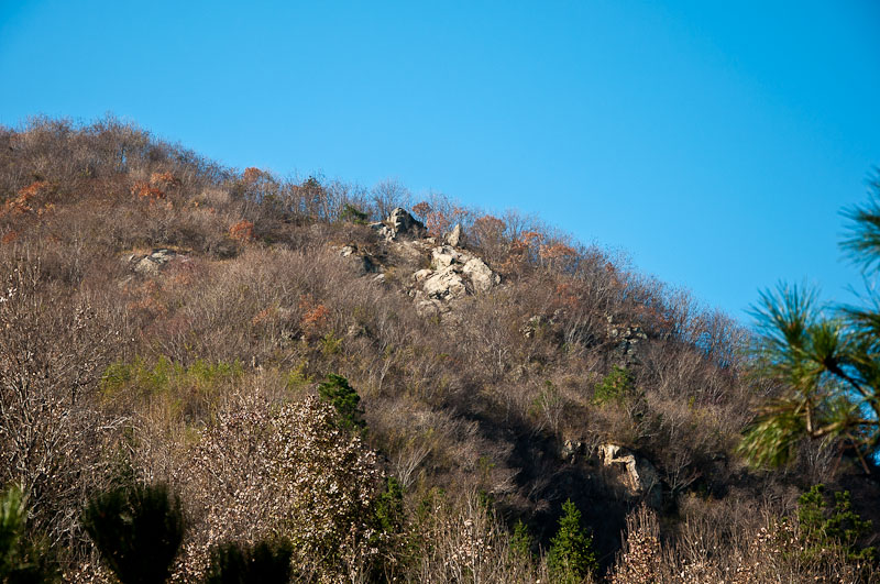 dsc_0012-1.jpg