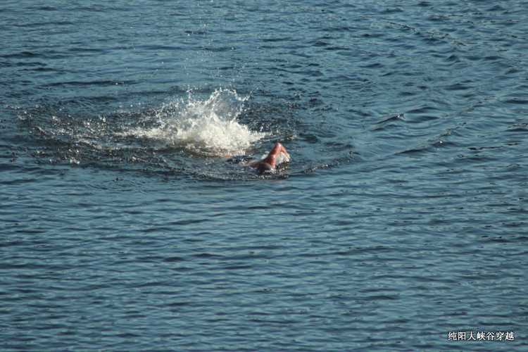 img_2466.jpg