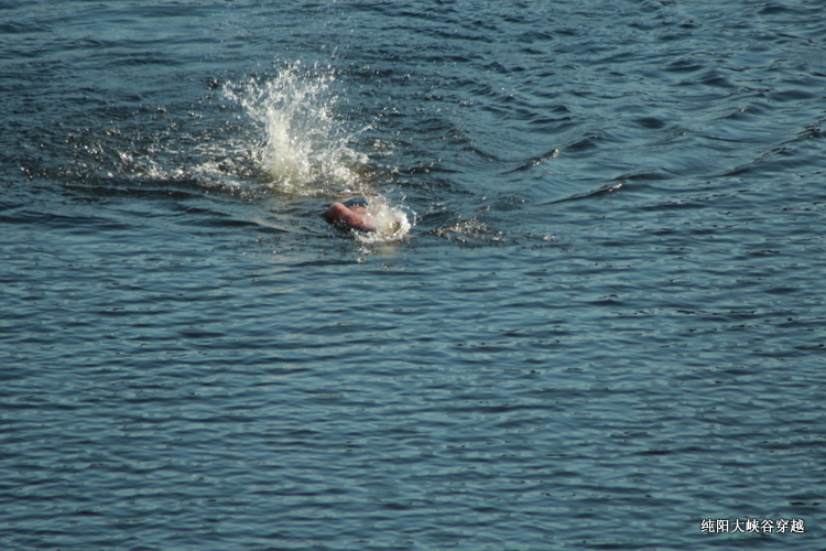 img_2467.jpg